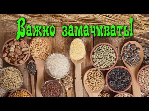 Почему так важно ЗАМАЧИВАТЬ КРУПЫ, ЗЁРНА, ОРЕХИ, БОБОВЫЕ...