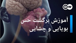 آیا حس ذائقه و شامه پس از بیماری کووید-۱۹ باز می گردد؟