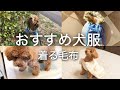 コスパ最高！ついリピ買いしてしまった犬服と、1枚欲しい安心の超ぬくぬく着る毛布。