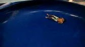Water Slide Stunt Youtube Water Slide Stunt Youtube