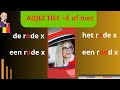 Hoe zeg je dat? - Les 35 : Het adjectief Wanneer schrijf je een -e bij het bijvoeglijk naamwoord?
