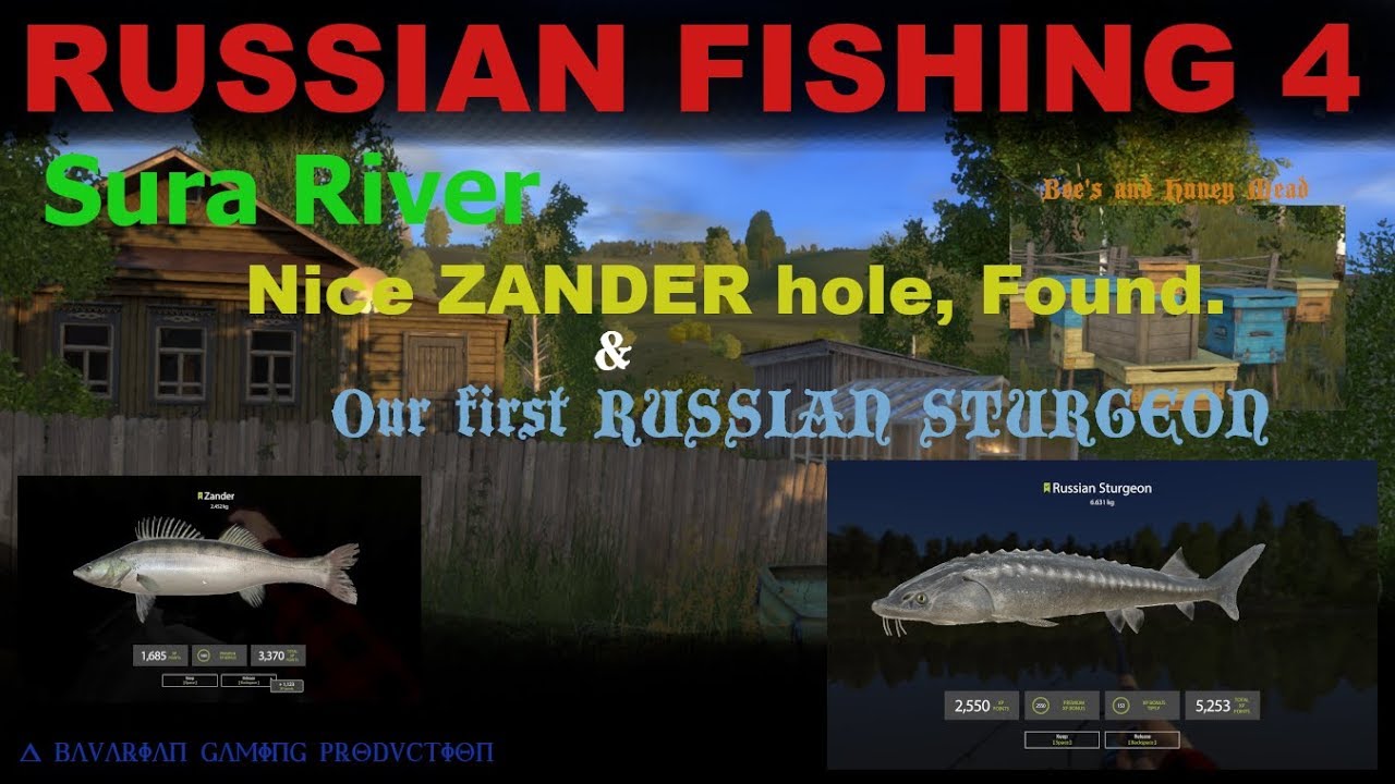 Russian Fishing 4 Sura River At Last Feeder Fishing Trolling