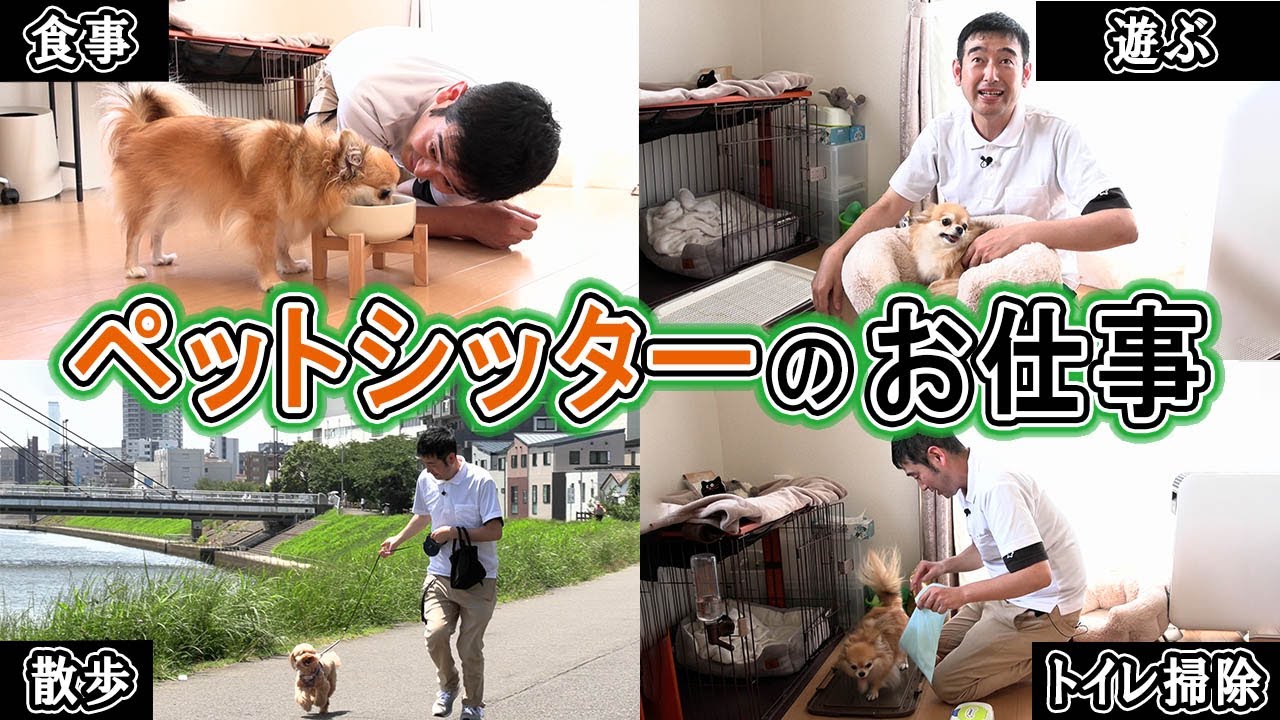 わんわんペットシッター