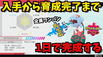 カセキ厳選 ウオノラゴンの厳選を最高効率で行うための4つの準備とは ポケモン剣盾 Mp3