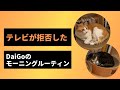 【DaiGo】テレビが拒否したメンタリストDaiGoのモーニングルーティン