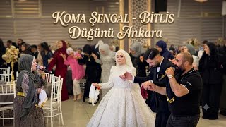 Koma Şengal Ankara'yı Salladı! 🔥 Bitlis Düğünü (4K)