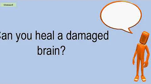 Can You Heal A Damaged Brain?