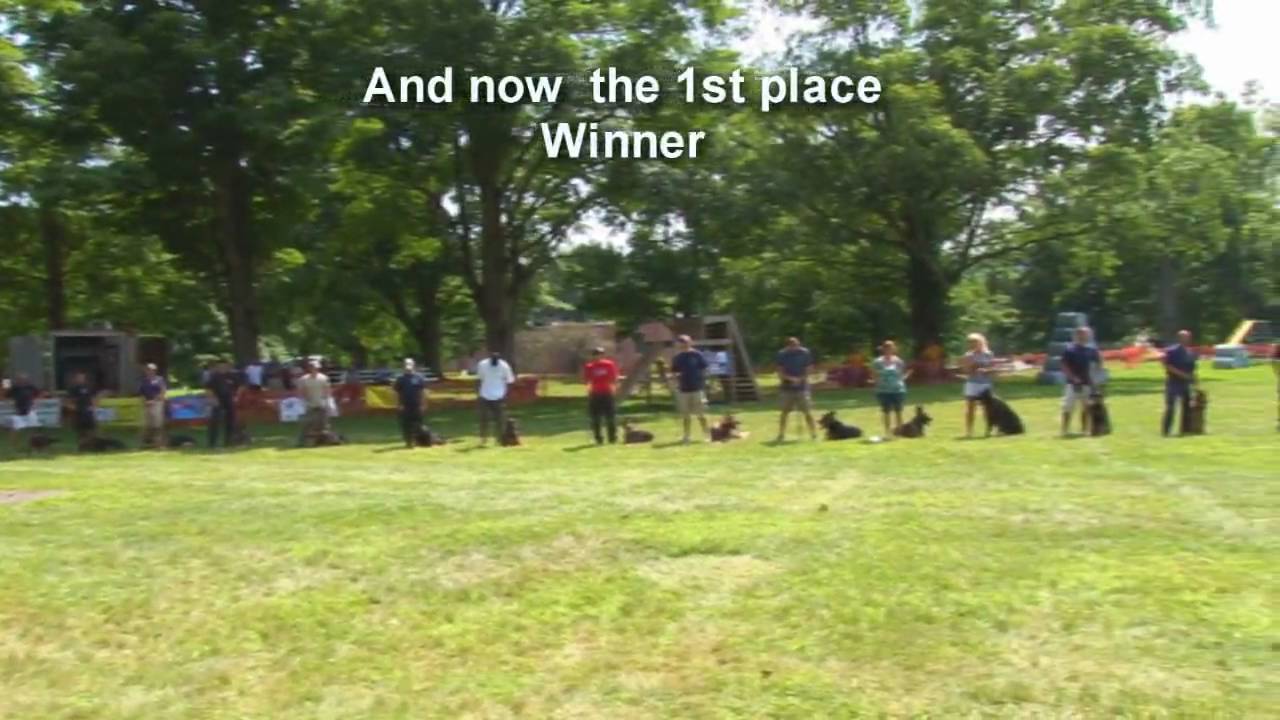 18 Annual Connecticut K9 Olympics 2009 Part 3 of 3 YouTube