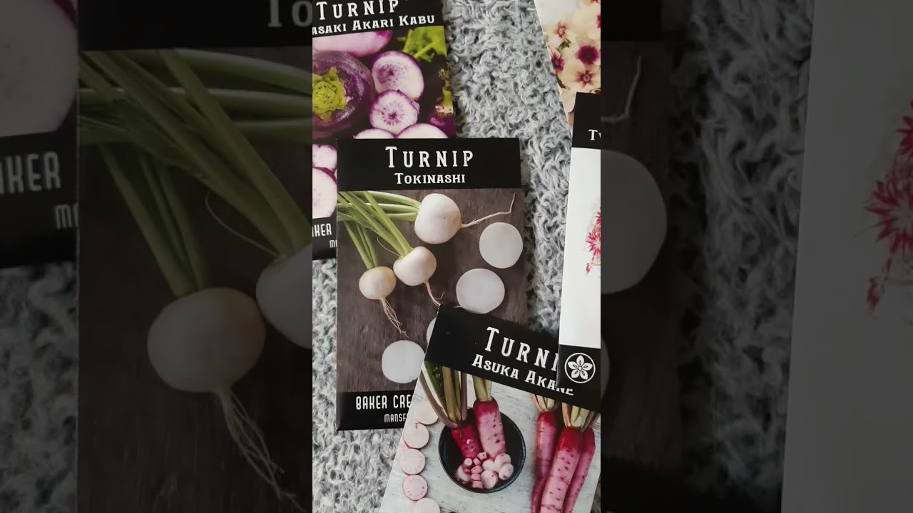 Посмотрите на мою новую партию семян репы и флоксов сорта Baker Creek Heirloom (Глубокий Юг). Зим...