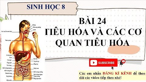 Bài giảng tiêu hóa và các cơ quan tiêu hóa năm 2024