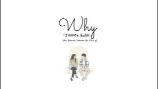 Janet Suhh - Why (Our Beloved Summer Ost Part 6) // Lirik Sub Indo