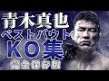 【青木真也】”2023年最新 ベストバウト8選” まとめてみたら気持ちよすぎてやばかった!ベストバウト KO集 総合格闘技 RIZIN ONE AOKI SHINYA 秋山 自演乙