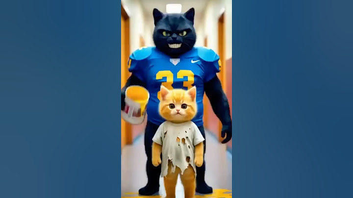 The Story of the Yellow Kitten: From Victim to Champion! 🏆 #school #motivation #cat #respect