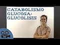 Catabolismo glucosa: glucolisis