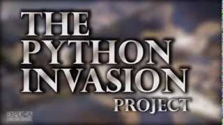 The Python Invasion Project: Swimming with gators to hunt pythons Profile
