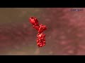 CelAbGen - India’s First AI-Driven Antibody Design Platform