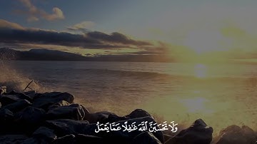 تلاوة عطرة، أواخر سورة إبراهيم القارئ اسلام صبحي