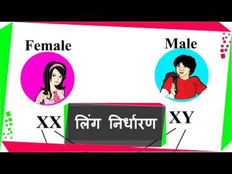 वीडियो: बच्चे की स्थिति का निर्धारण कैसे करें