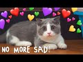 Send This To A Sad Friend!