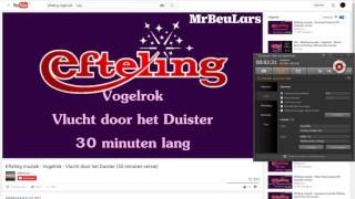 EftelingCraft Vogelrok
