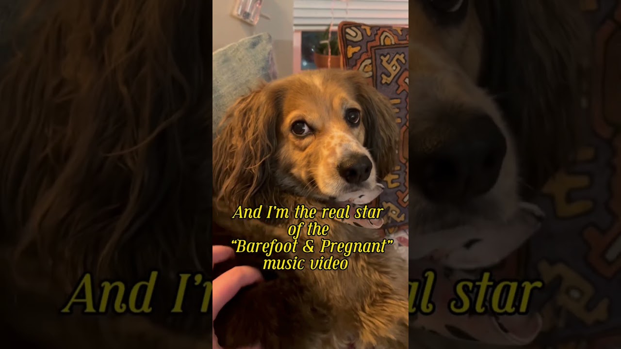 The real star of the show 💅🐶🥰