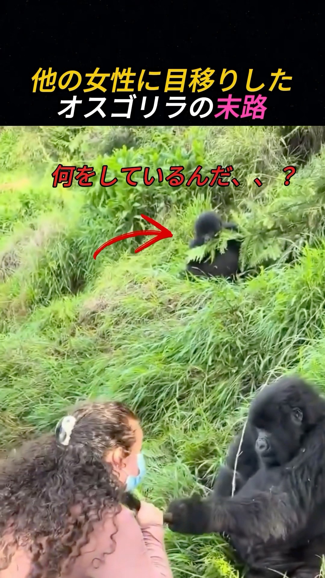 ODYSSEYFZGSDDJFLX10CW ゴリラになります The fate of a male gorilla who became interested in other women