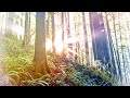 Classical Reimagined — Soft Ambient Piano Music for Focus, Sleep, Study, Reading