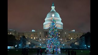 WATCH LIVE: U.S. Capitol Christmas tree arrives from D.C.