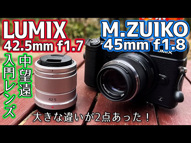 マイクロフォーサーズ中望遠入門】違いは？選ぶ際の判断は？【M.ZUIKO