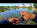 QUE LUGAR INCRÍVEL!!! É SÓ JOGAR QUE O PEIXE BATE!! PESCARIA DE BARRANCO - PESCA ULTRALIGHT!!