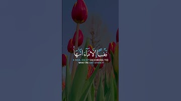 لَا یُكَلِّفُ ٱللَّهُ نَفۡسًا إِلَّا مَاۤ ءَاتَىٰهَا | القارئ رعد الكردي