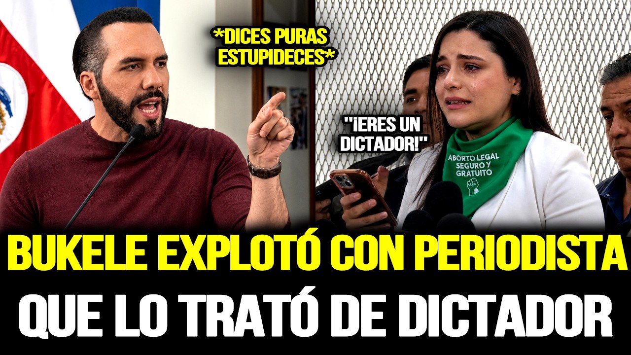 BUKELE ESTALLÓ CONTRA PERIODISTA FEMINISTA QUE LO TRATÓ DE DICTADOR