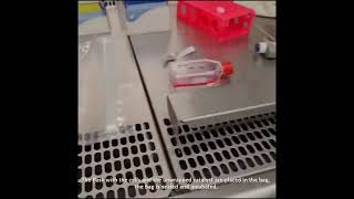 #TechThursday140: Creating anoxic environments for cell culture with GasPaksTM ⚗️