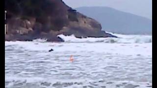 A silly video of todays surf at Big Wave Bay...