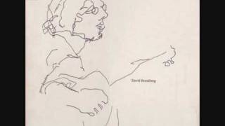 David Bromberg - Last Song For Shelby Jean chords
