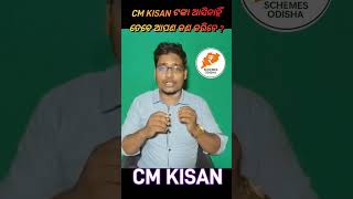 CM KISAN ଟଙ୍କା କାହିଁକି ଆସିନି? Schemes Odisha #schemesodisha