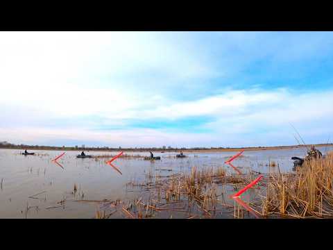 РЫБАЛКА НА ПОПЛАВОК - КАРАСИ СЛОНЫ В ДРОВАХ!! ОБЫЧНАЯ УДОЧКА, ГУСИНОЕ ПЕРО И ЧЕРВЯК НА КРЮЧКЕ