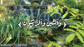 ﴿ والتين والزيتون وطور سينين و هذا البلد الأمين ﴾ سورة التين / القارئ مشاري العفاسي