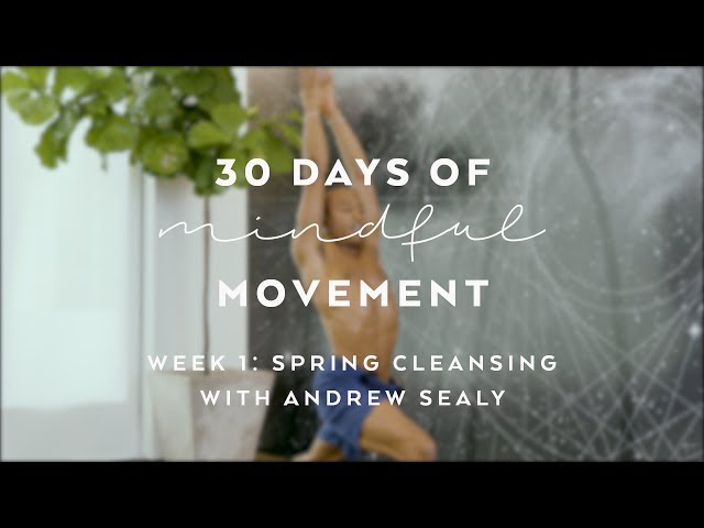 Day 3: Twist To Bliss with Andrew Sealy - Spring Reset: 30 Days of Mindful  Movement - YouTube