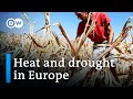 Drought: What's the link between water scarcity and global heating? | DW News