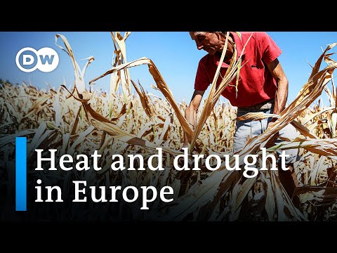 Video Drought: What's the link between water scarcity and... - youtube