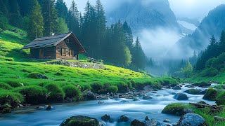Beautiful relaxing music, stop thinking, music to relieve stress, calming music #46