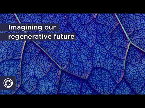 Kate Raworth's vision for our regenerative future