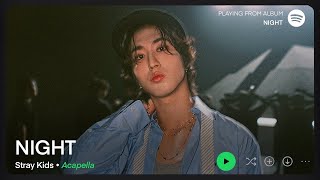 Stray Kids — NIGHT (Clean Acapella/Vocals Only)