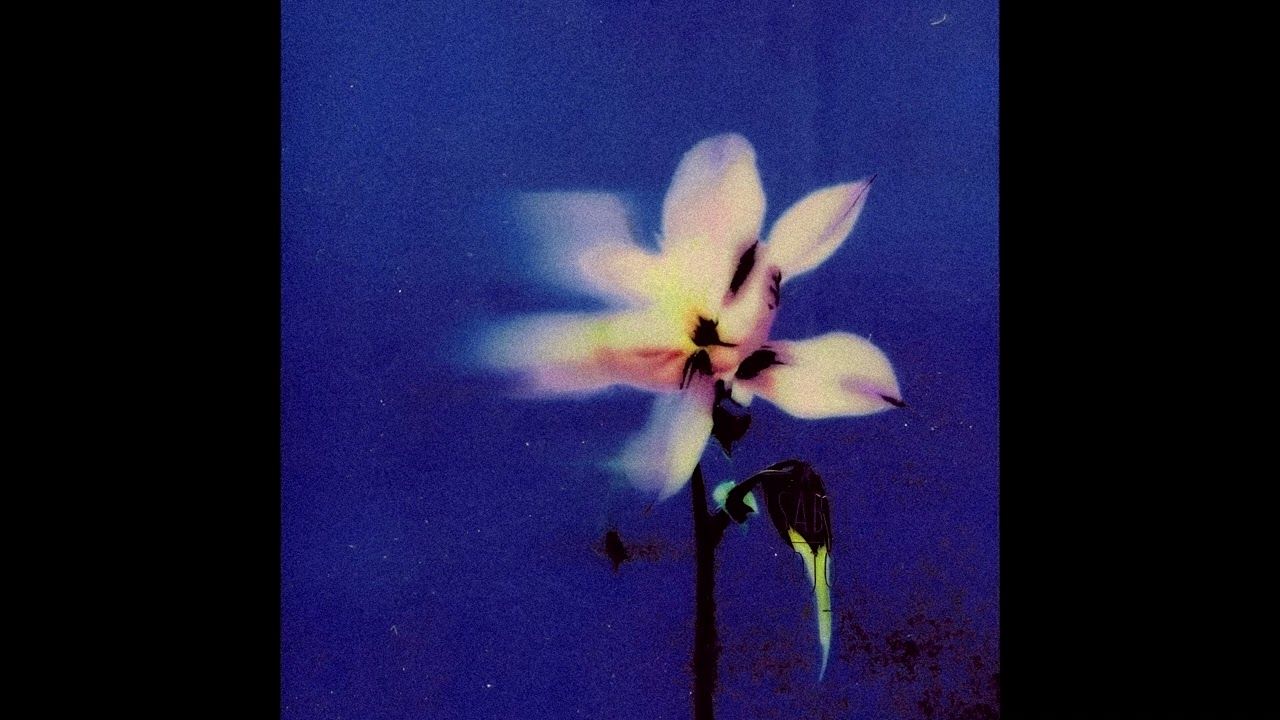 [FREE] NUJABES  TYPE BEAT 