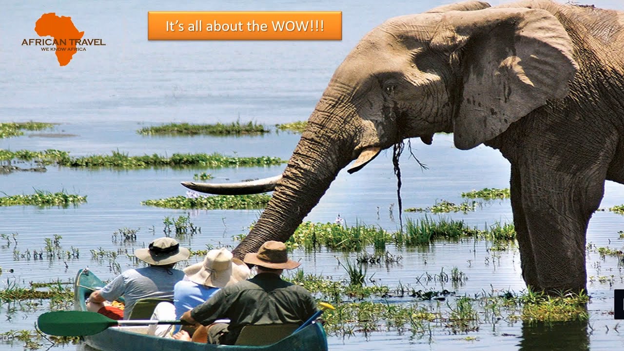 Explore Africa with African Travel & Morris Murdock Travel