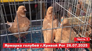 видео: Ярмарка голубей и декоративных птиц г. Кривой Рог 26.07.2025. Часть 1 картинка: Ярмарка голубей и декоративных птиц г. Кривой Рог 26.07.2025. Часть 1