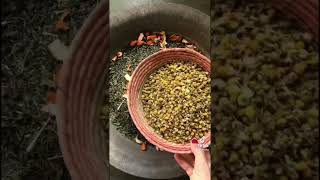 RECETA DE MATE CON YUYOS (o de YUYO con mate) 🌱 🧉