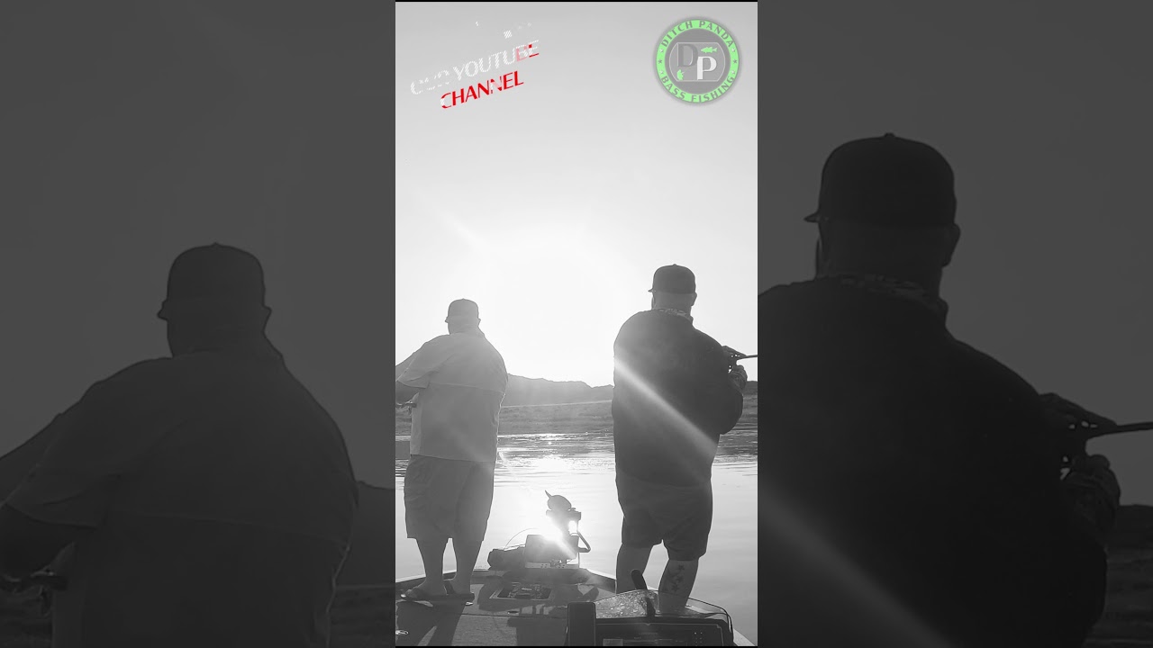 Largemouth Bass Smashing Frogs 