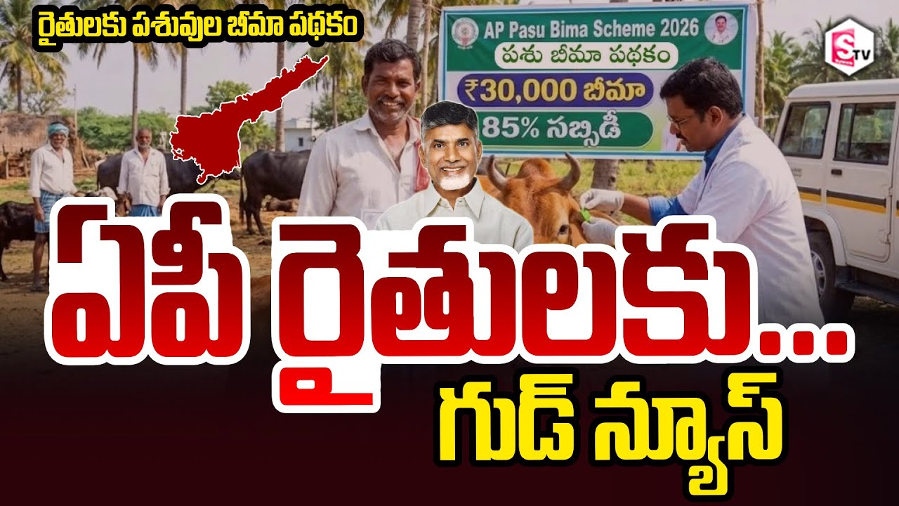 AP Govt Good News To Dairy Farmers Cattle insurance scheme ఏపీ రైతులకు గుడ్ న్యూస్ | SumanTV Janaki